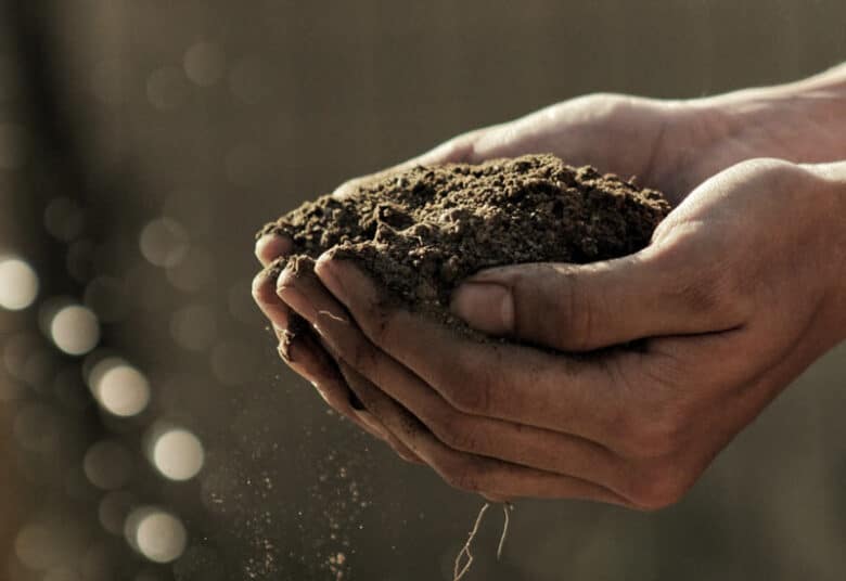 Manger de la terre pour predre du poids